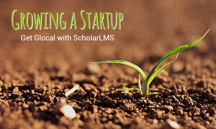 Growing a Startup – Get Glocal with LMS