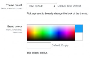 LMS theme general settings