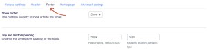 Theme settings footer