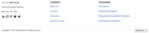 Theme settings footer preview