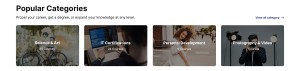 Theme home page categories section preview