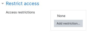 Activity Restrict Access