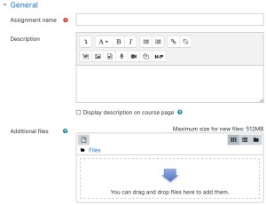 Assignment Settings General Tab