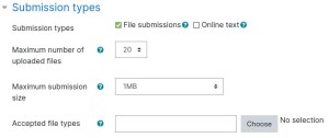 Assignment Settings Submission Types