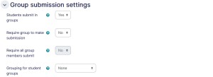 Assignment settings group submission tab