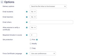 Custom Certificate settings options tab