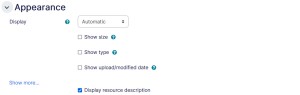 File Settings Appearance tab
