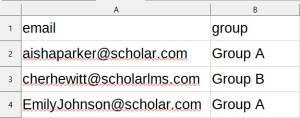 Course bulk enrollment CSV